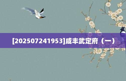 [202507241953]咸丰武定府（一）