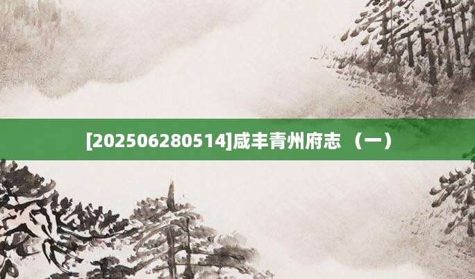 [202506280514]咸丰青州府志 （一）