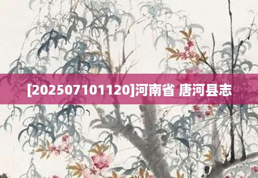 [202507101120]河南省 唐河县志