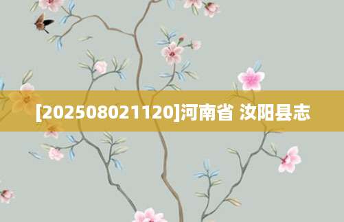 [202508021120]河南省 汝阳县志