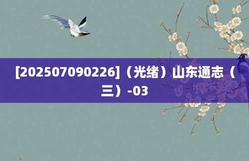 [202507090226]（光绪）山东通志（三）-03