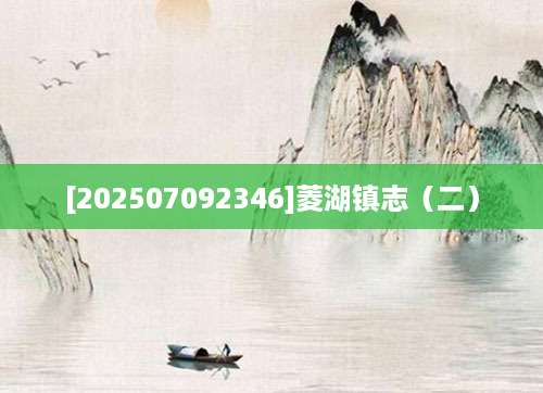 [202507092346]菱湖镇志（二）