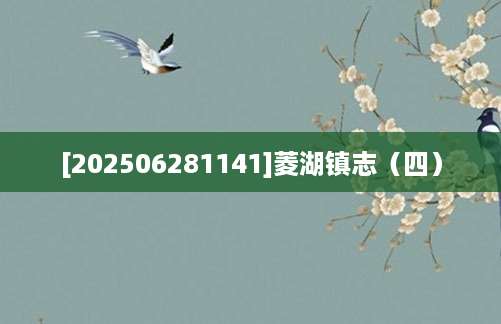 [202506281141]菱湖镇志（四）