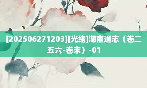 [202506271203][光绪]湖南通志（卷二五六-卷末）-01