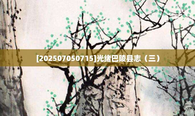 [202507050715]光绪巴陵县志（三）