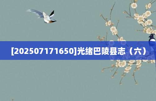 [202507171650]光绪巴陵县志（六）
