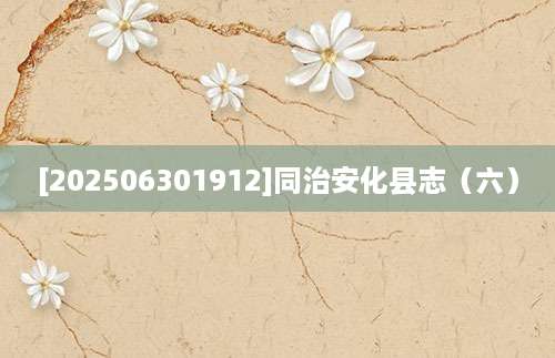 [202506301912]同治安化县志（六）
