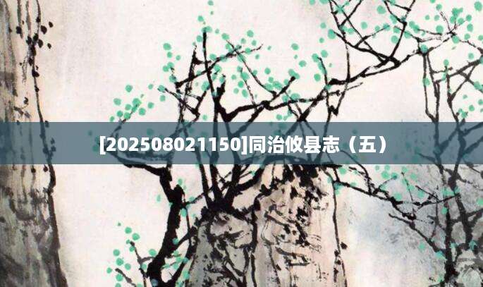 [202508021150]同治攸县志（五）