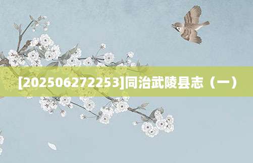 [202506272253]同治武陵县志（一）