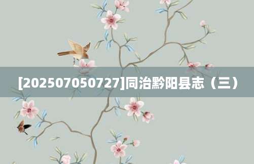 [202507050727]同治黔阳县志（三）