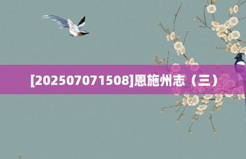 [202507071508]恩施州志（三）