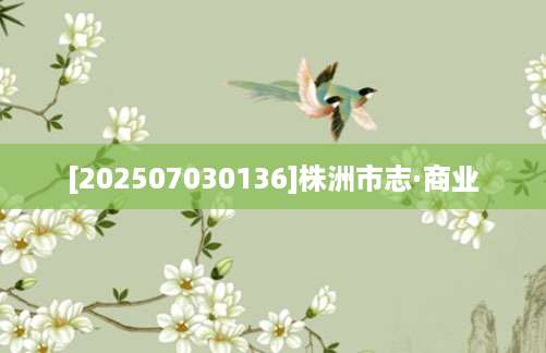 [202507030136]株洲市志·商业