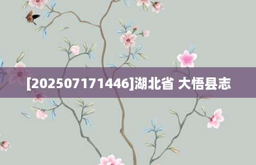 [202507171446]湖北省 大悟县志