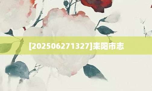 [202506271327]耒阳市志