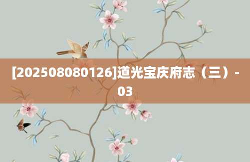 [202508080126]道光宝庆府志（三）-03