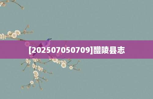 [202507050709]醴陵县志