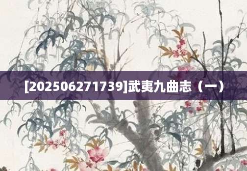 [202506271739]武夷九曲志（一）