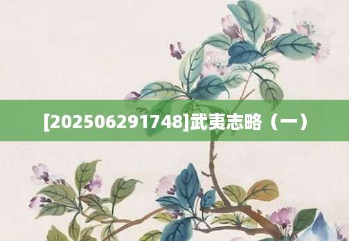 [202506291748]武夷志略（一）