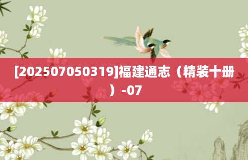 [202507050319]福建通志（精装十册）-07