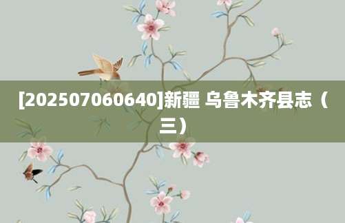 [202507060640]新疆 乌鲁木齐县志（三）