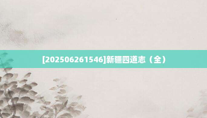 [202506261546]新疆四道志（全）