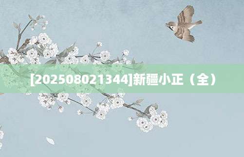 [202508021344]新疆小正（全）