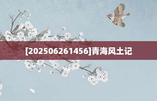 [202506261456]青海风土记