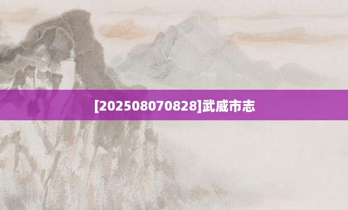 [202508070828]武威市志