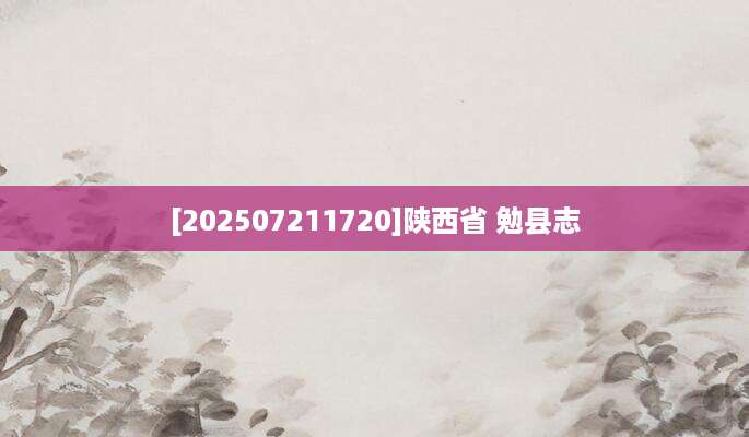 [202507211720]陕西省 勉县志