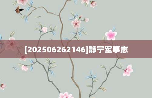 [202506262146]静宁军事志