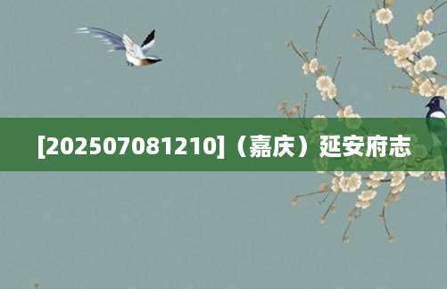 [202507081210]（嘉庆）延安府志