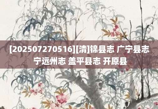 [202507270516][清]锦县志 广宁县志 宁远州志 盖平县志 开原县