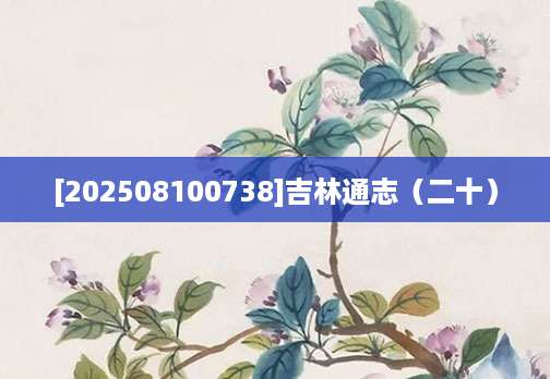 [202508100738]吉林通志（二十）