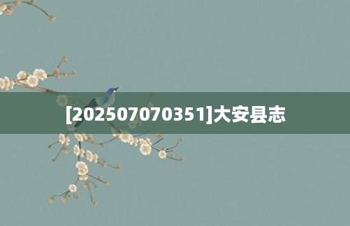 [202507070351]大安县志
