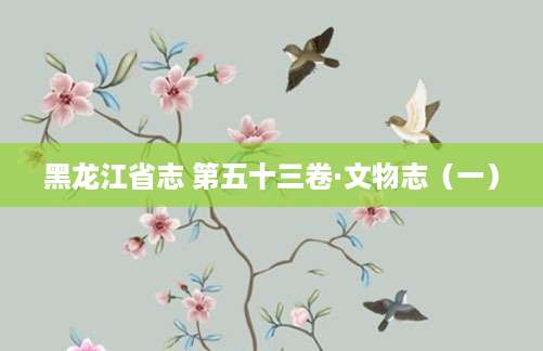 [202507101244]黑龙江省志 第五十三卷·文物志（一）