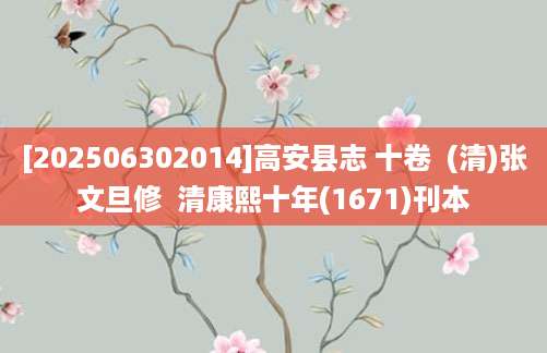 [202506302014]高安县志 十卷  (清)张文旦修  清康熙十年(1671)刊本