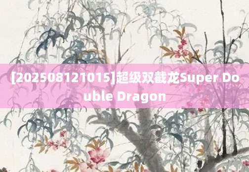 [202508121015]超级双截龙Super Double Dragon