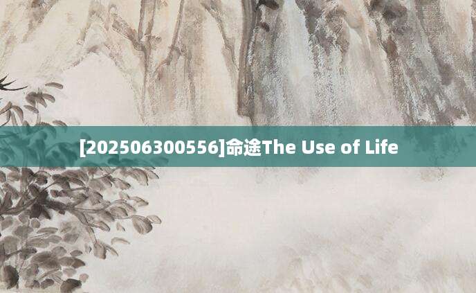 [202506300556]命途The Use of Life