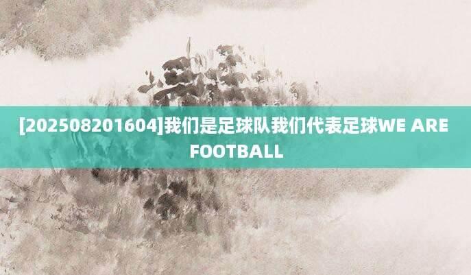 [202508201604]我们是足球队我们代表足球WE ARE FOOTBALL