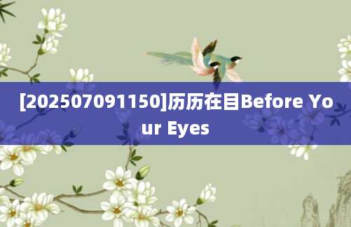 [202507091150]历历在目Before Your Eyes