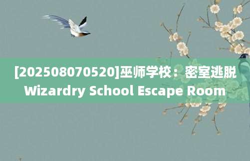 [202508070520]巫师学校：密室逃脱Wizardry School Escape Room