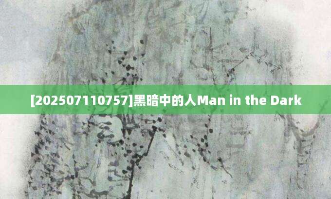 [202507110757]黑暗中的人Man in the Dark