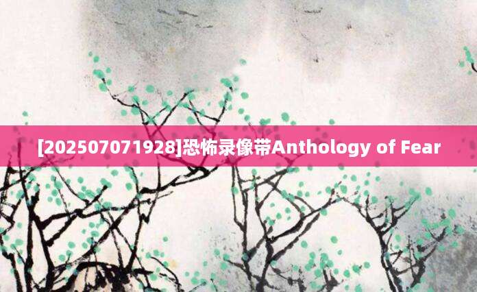 [202507071928]恐怖录像带Anthology of Fear