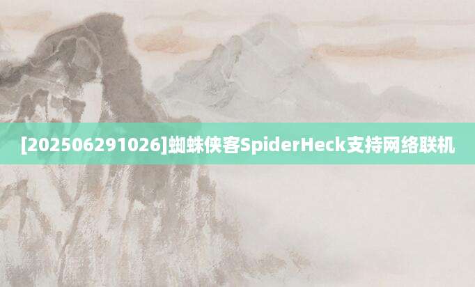 [202506291026]蜘蛛侠客SpiderHeck支持网络联机