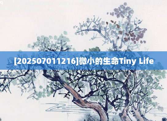 [202507011216]微小的生命Tiny Life