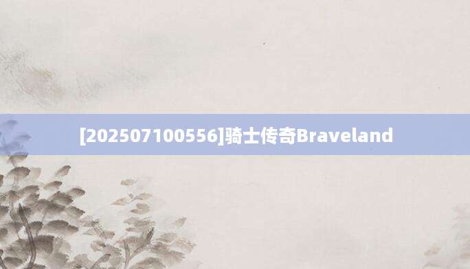 [202507100556]骑士传奇Braveland