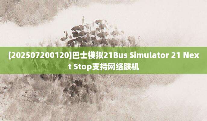 [202507200120]巴士模拟21Bus Simulator 21 Next Stop支持网络联机