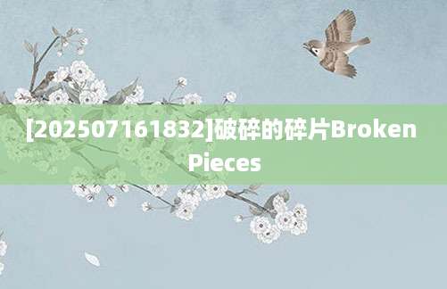 [202507161832]破碎的碎片Broken Pieces