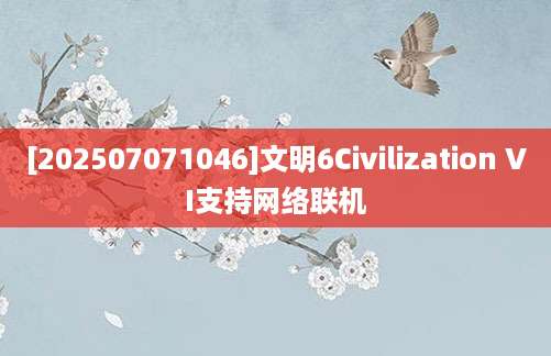 [202507071046]文明6Civilization VI支持网络联机