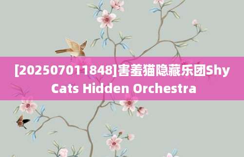 [202507011848]害羞猫隐藏乐团Shy Cats Hidden Orchestra